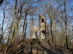 Ruine mit Aussichtsturm auf dem Schlossberg in Bad Schandau