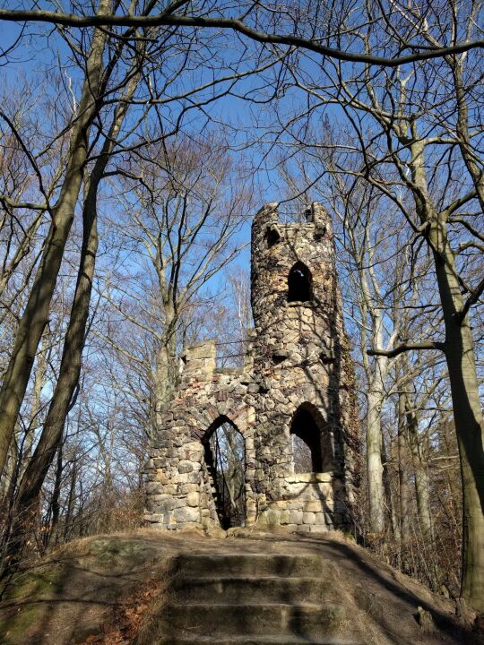 Ruine mit Aussichtsturm auf dem Schlossberg in Bad Schandau