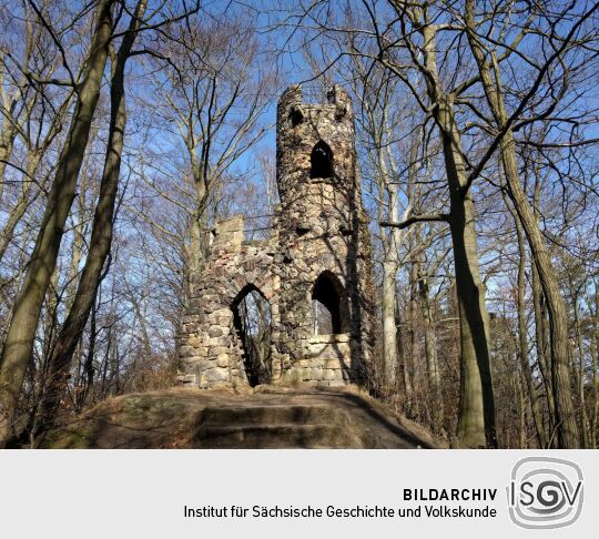 Ruine mit Aussichtsturm auf dem Schlossberg in Bad Schandau