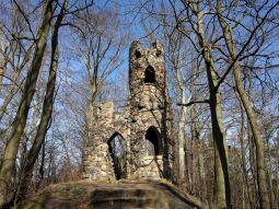 Ruine mit Aussichtsturm auf dem Schlossberg in Bad Schandau