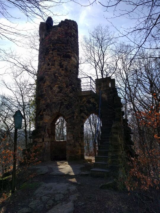 Ruine mit Aussichtsturm auf dem Schlossberg in Bad Schandau