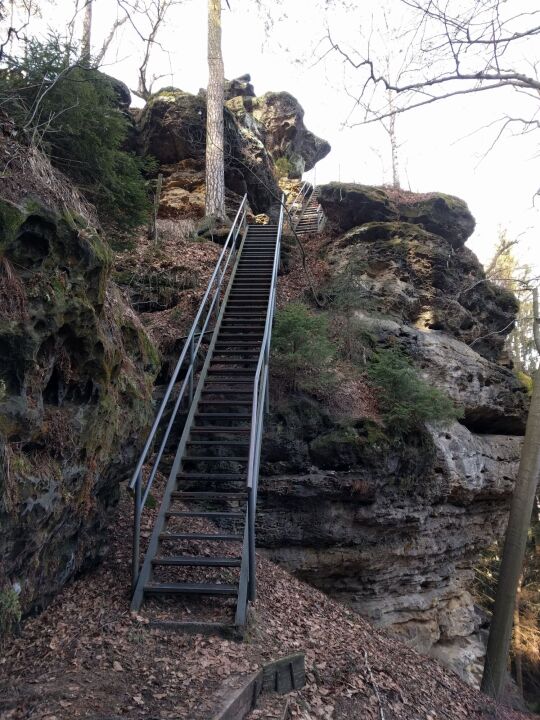 Am Aufstieg zum Aussichtspunkt Signal auf dem Katzstein bei Gohrisch-Cunnersdorf.