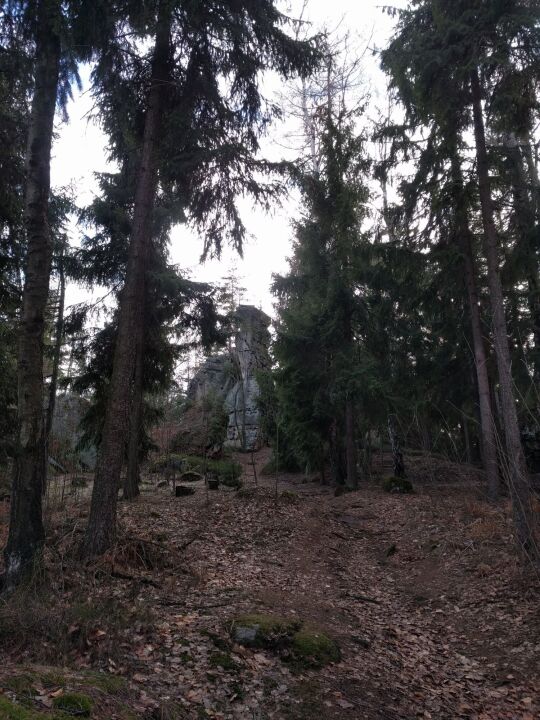 Der Fels Katze auf dem Katzstein bei Gohrisch-Cunnersdorf.