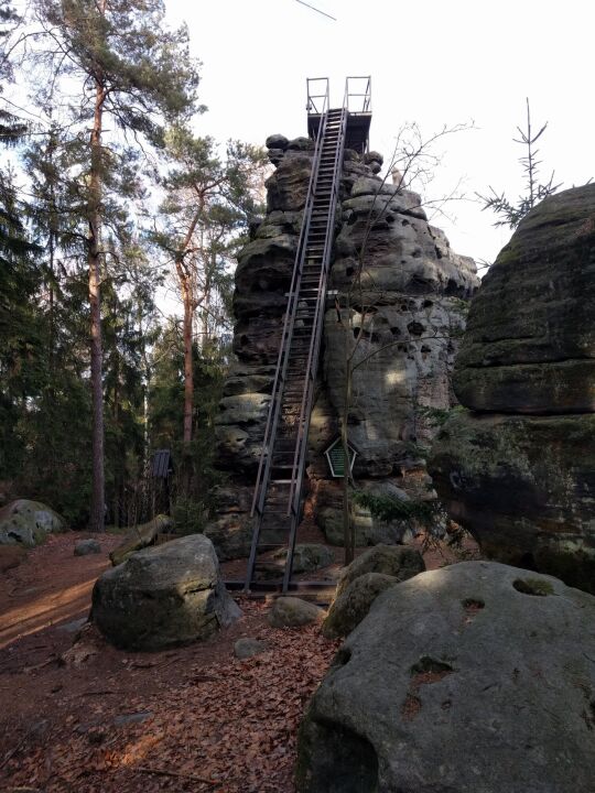 Der Aufstieg zum Aussichtspunkt Katzfels auf dem Katzstein bei Gohrisch-Cunnersdorf.