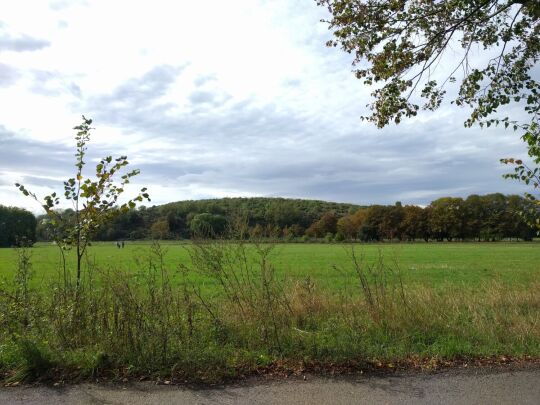 Blick zum Nahleberg über die Aue der Nahle in Leipzig-Möckern