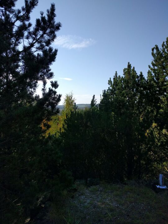 Der zugewachsene Ausblick vom Aussichtspunkt Oberlausitzblick am Osthang der Neuberzdorfer Höhe.