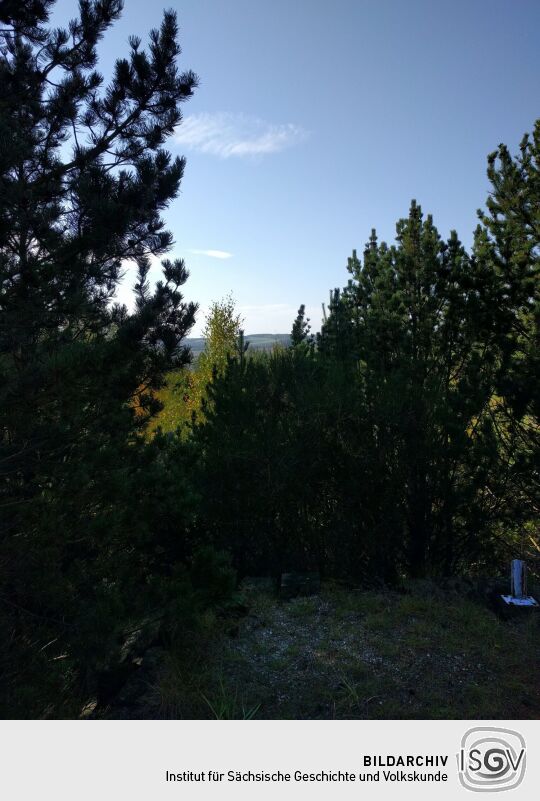 Der zugewachsene Ausblick vom Aussichtspunkt Oberlausitzblick am Osthang der Neuberzdorfer Höhe.