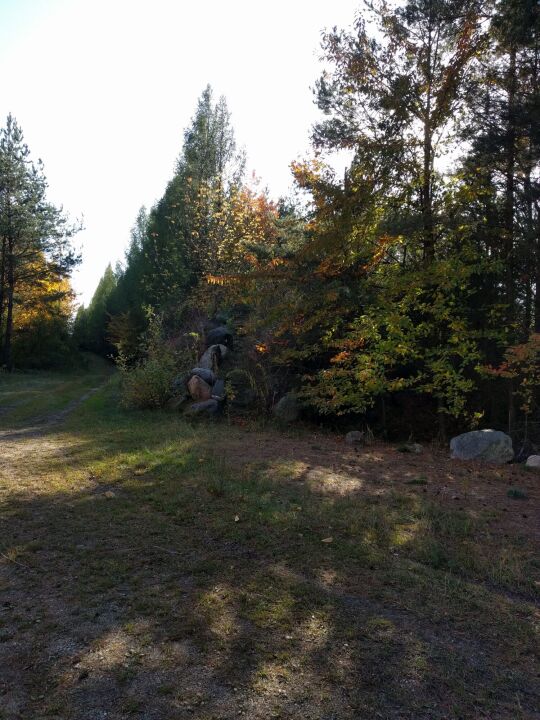 Der Hügel auf dem sich der Aussichtspunkt Oberlausitzblick am Osthang der Neuberzdorfer Höhe befindet.