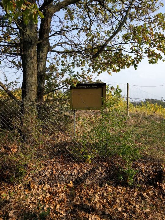 Eine Infotafel zur Weinlage Kapitelberg im Spaargebirge Meißen.