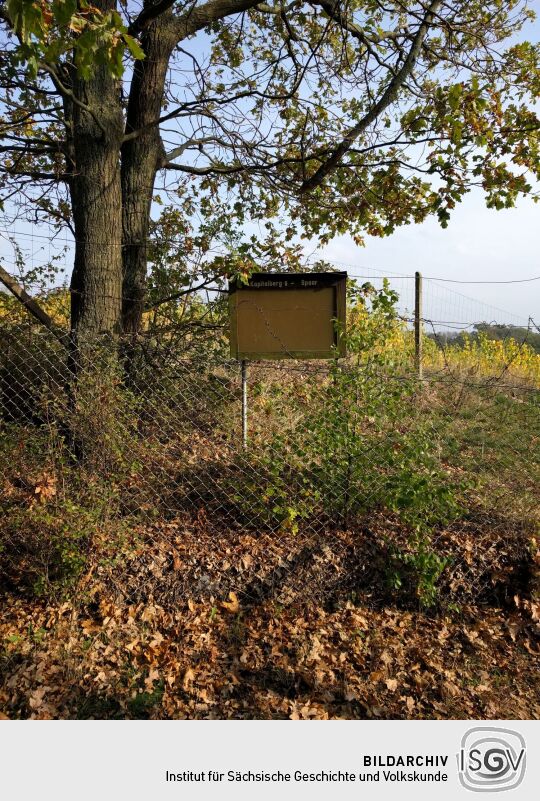 Eine Infotafel zur Weinlage Kapitelberg im Spaargebirge Meißen.