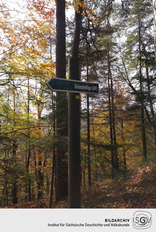 Wegweiser zum Aussichtspunkt Grünstellige in der Nähe des Königsplatzes bei Hinterhermsdorf.