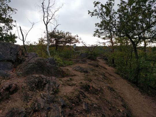 Der Aussichtspunkt Hoher Stein im Friedewald bei Coswig.