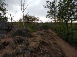 Der Aussichtspunkt Hoher Stein im Friedewald bei Coswig.