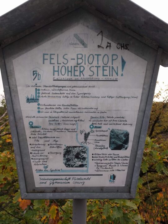 Infotafel am Aussichtspunkt Hoher Stein im Friedewald bei Coswig.