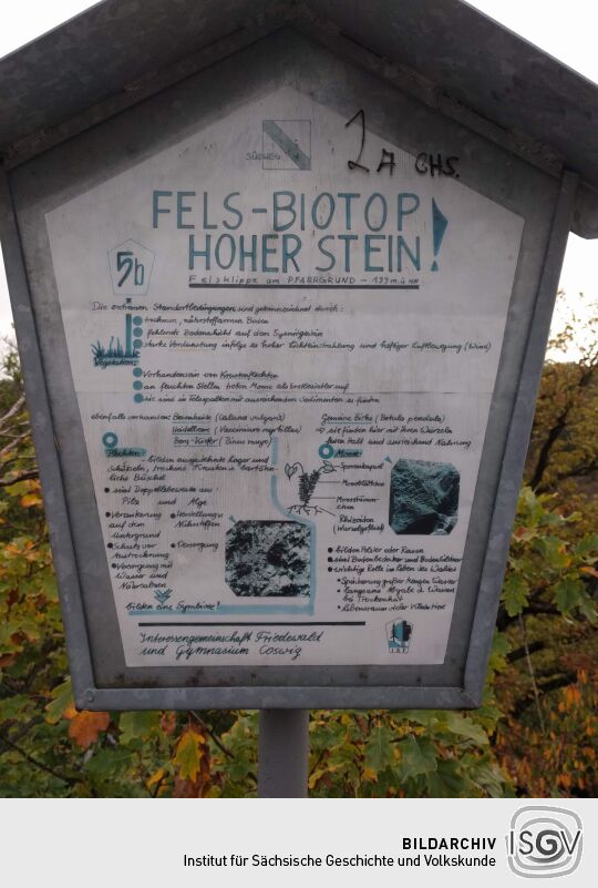 Infotafel am Aussichtspunkt Hoher Stein im Friedewald bei Coswig.