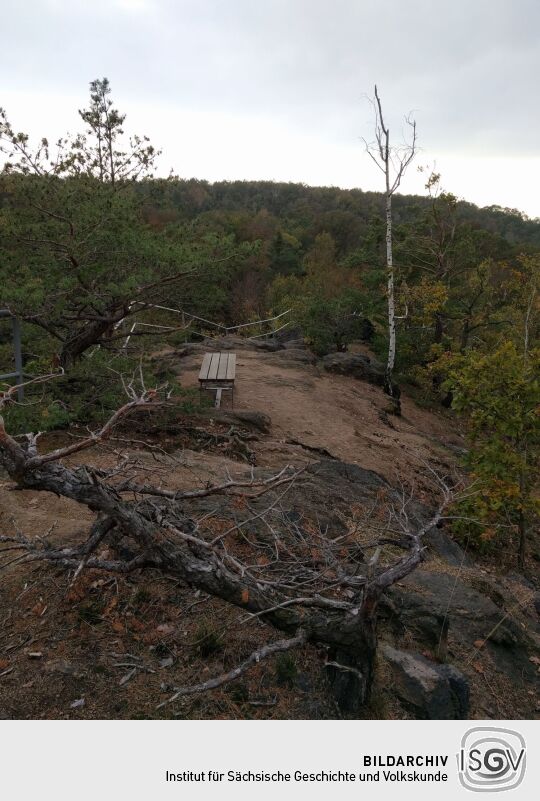 Der Aussichtspunkt Hoher Stein im Friedewald bei Coswig.