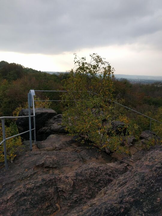 Der Aussichtspunkt Hoher Stein im Friedewald bei Coswig.