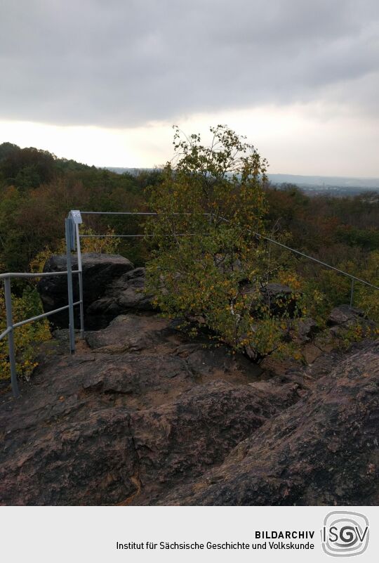 Der Aussichtspunkt Hoher Stein im Friedewald bei Coswig.