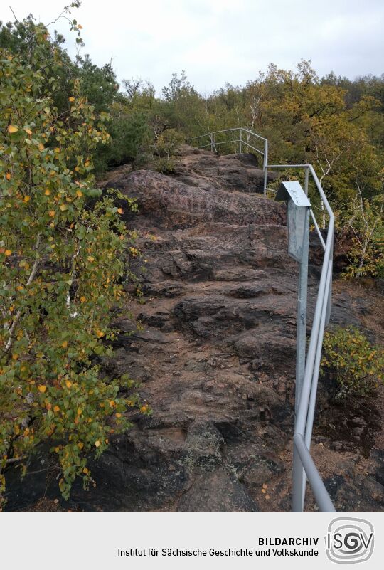 Der Aussichtspunkt Hoher Stein im Friedewald bei Coswig.