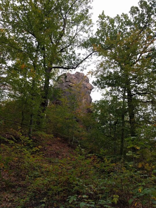 Der Aussichtspunkt Hoher Stein im Friedewald bei Coswig.