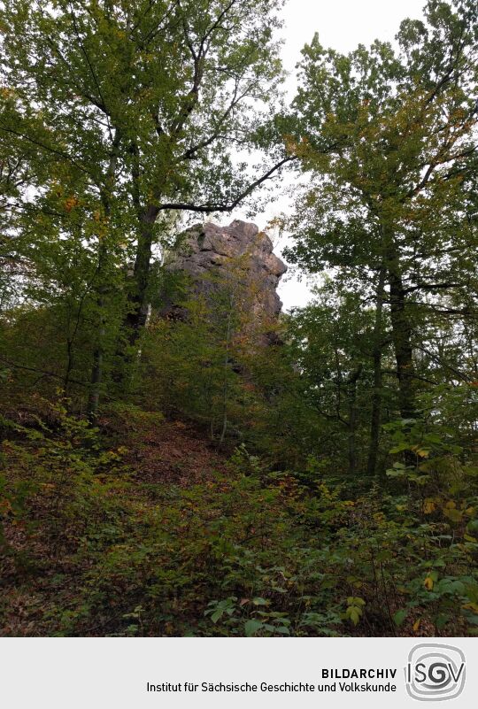 Der Aussichtspunkt Hoher Stein im Friedewald bei Coswig.