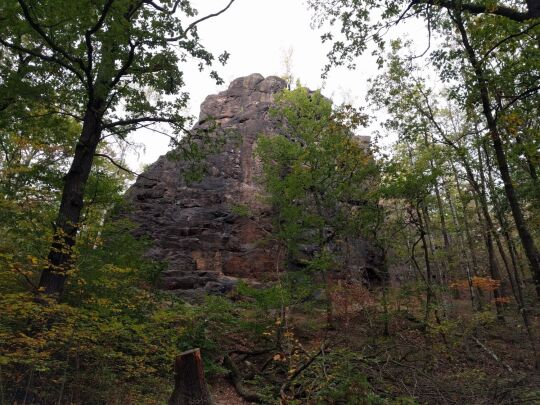 Der Aussichtspunkt Hoher Stein im Friedewald bei Coswig.