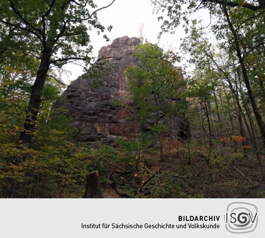 Der Aussichtspunkt Hoher Stein im Friedewald bei Coswig.