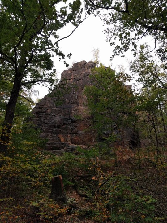 Der Aussichtspunkt Hoher Stein im Friedewald bei Coswig.