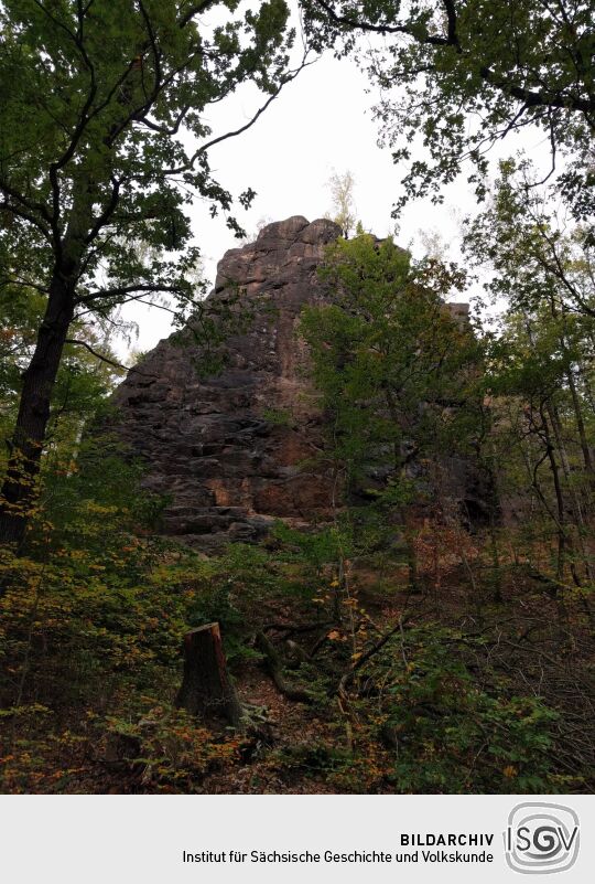 Der Aussichtspunkt Hoher Stein im Friedewald bei Coswig.