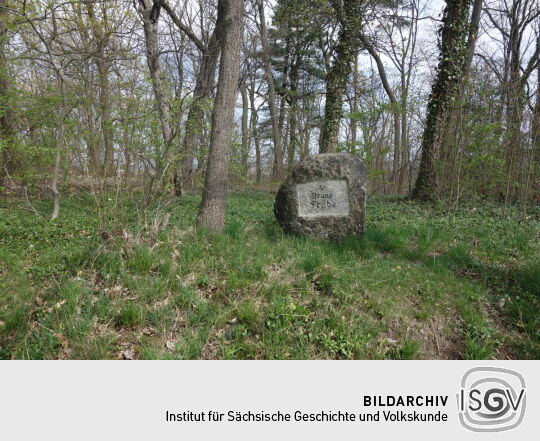 Die ehemalige Alexanderhöhe in Zwickau-Planitz