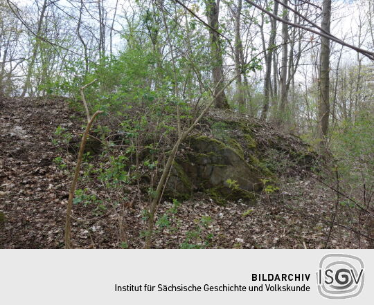 Die ehemalige Alexanderhöhe in Zwickau-Planitz