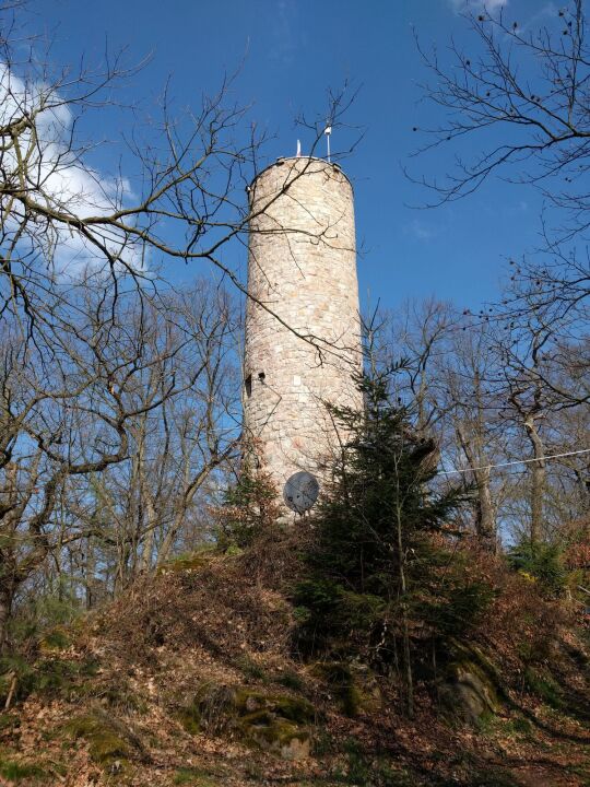 Der Aussichtsturm auf dem Borberg in Kirchberg.