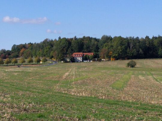 Blick zum König-Johann-Turm in der Dippoldiswalder Heide.