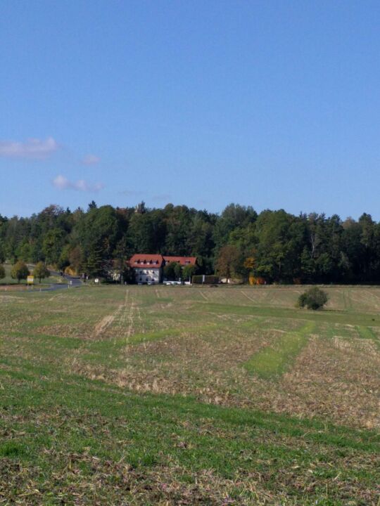 Blick zum König-Johann-Turm in der Dippoldiswalder Heide.