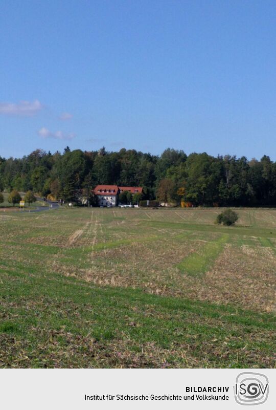 Blick zum König-Johann-Turm in der Dippoldiswalder Heide.