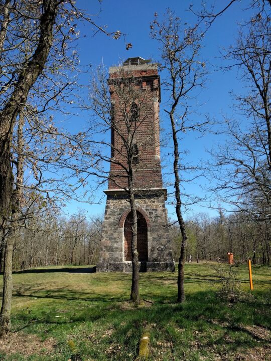 Der Julius-Mosen-Turm auf dem Eisenberg bei Jocketa.