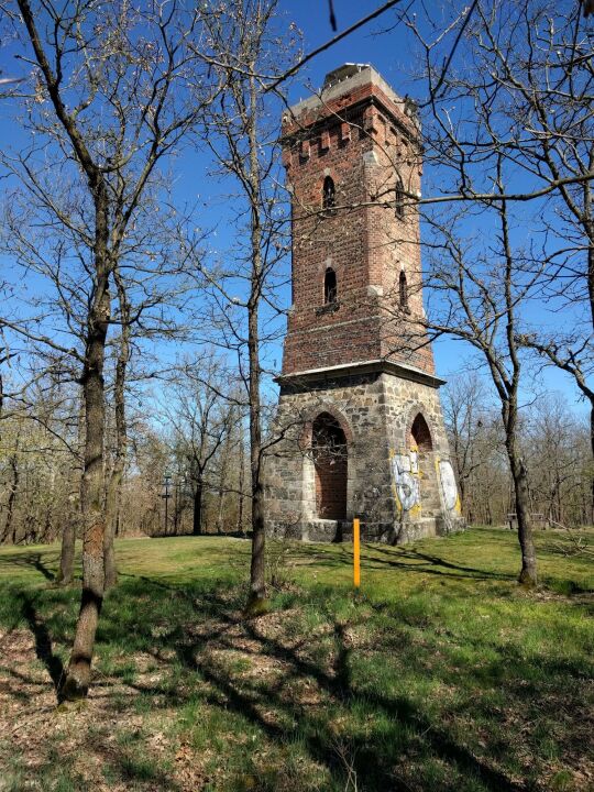 Der Julius-Mosen-Turm auf dem Eisenberg bei Jocketa.