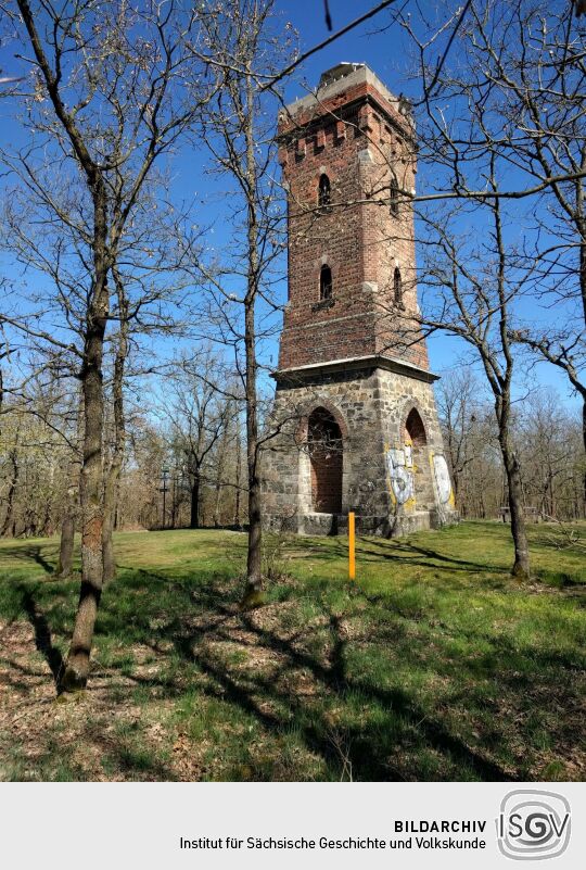 Der Julius-Mosen-Turm auf dem Eisenberg bei Jocketa.