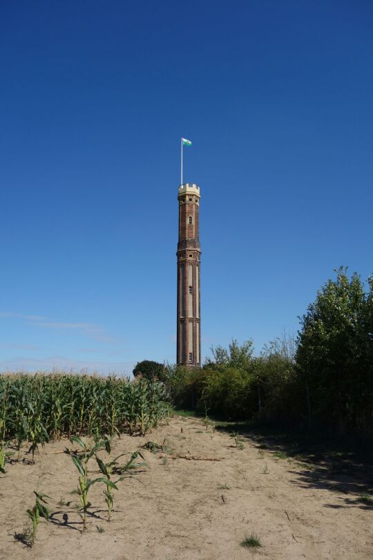 Der Aussichtsturm Böhrigen in Striegistal-Etzdorf.