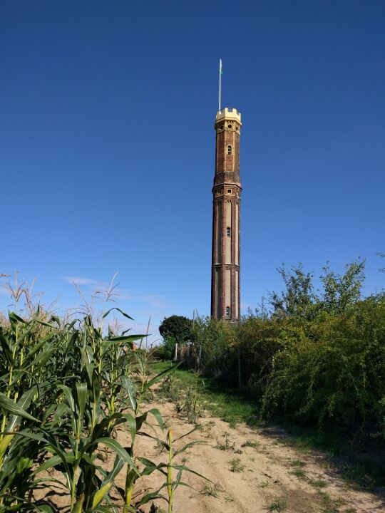 Der Aussichtsturm Böhrigen in Striegistal-Etzdorf.