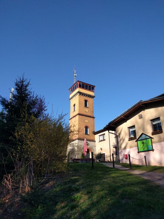 Der Dr. Köhler-Turm auf dem Gleesberg bei Schneeberg.