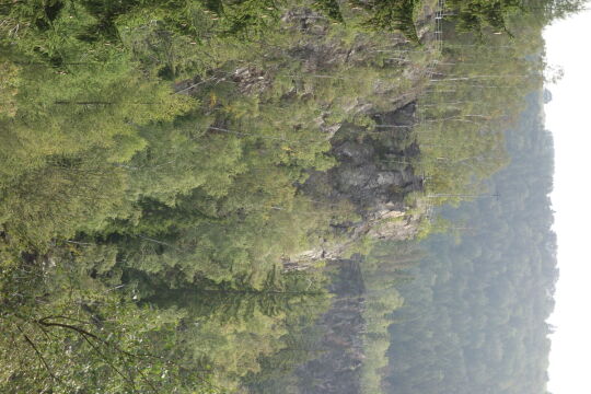 Der Katzenstein oberhalb der Schwarzen Pockau bei Pobershau im Erzgebirge.