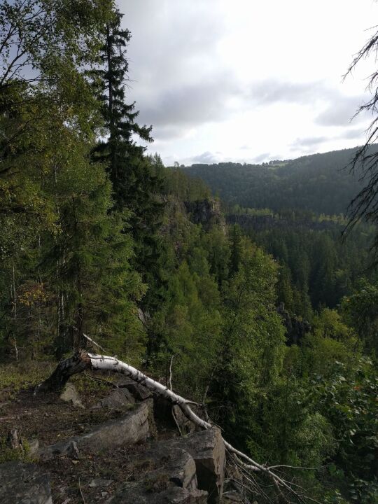 Der Katzenstein oberhalb der Schwarzen Pockau bei Pobershau im Erzgebirge.