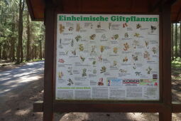 Infotafel an der Kuhbergstraße.