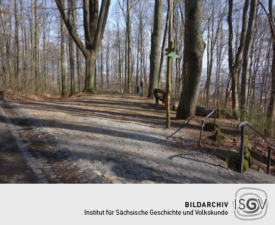 An der historischen Lindenallee, dem Aufgang zur Landeskrone bei Görlitz.