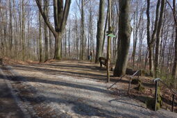 An der historischen Lindenallee, dem Aufgang zur Landeskrone bei Görlitz.