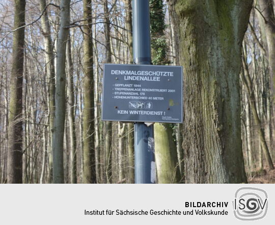 Infotafel an der historischen Lindenallee, dem Aufgang zur Landeskrone bei Görlitz.