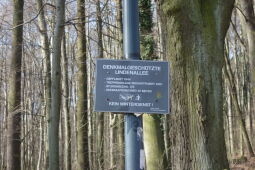 Infotafel an der historischen Lindenallee, dem Aufgang zur Landeskrone bei Görlitz.