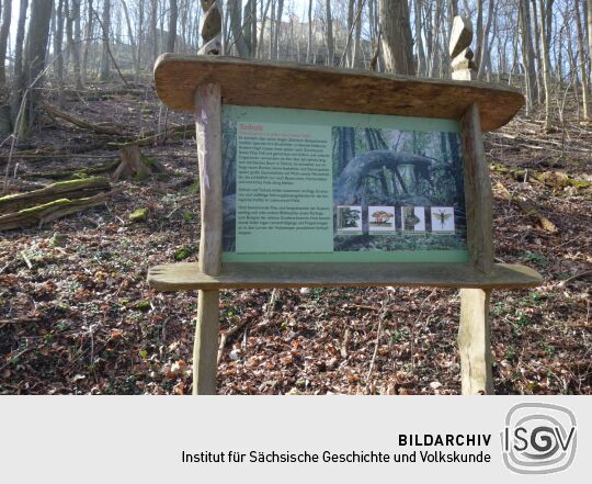 Infotafel an der historischen Lindenallee, dem Aufgang zur Landeskrone bei Görlitz.