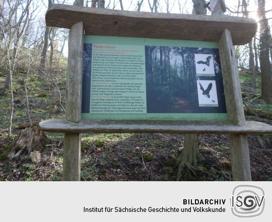 Infotafel an der historischen Lindenallee, dem Aufgang zur Landeskrone bei Görlitz.